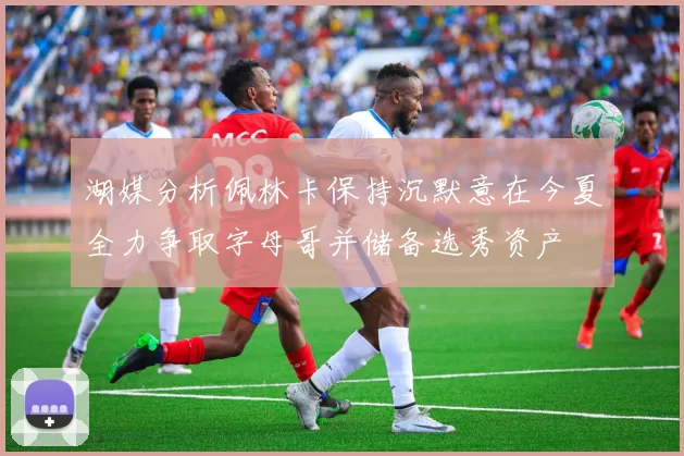 湖媒分析佩林卡保持沉默意在今夏全力争取字母哥并储备选秀资产